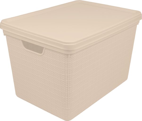 CAIXA ORG. C/  TAMPA JUTA 22L - CRU