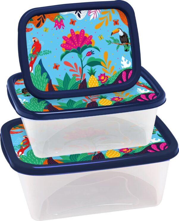 CONJ. 03 PCS RET. (420/750/1270 ML) DECOR