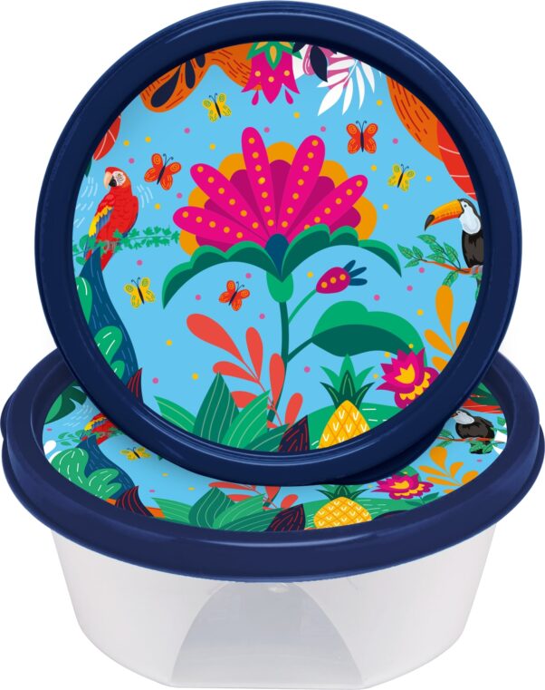 CONJ.02 POTES RED.370 ML DECOR