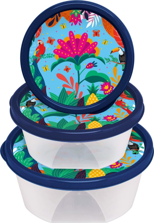 CONJ. 03 POTES RED. 370/740/1220ML DECOR