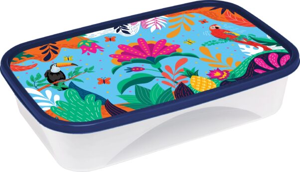 POTE RET. 2,55L DECOR.