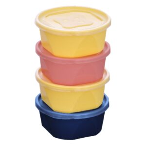 CONJ. 4 PCS RED. 740ML - MIX COLOR